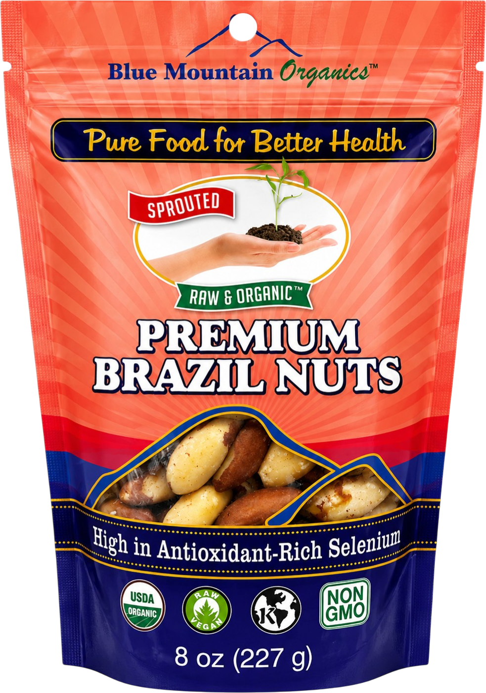 Sprouted Brazil Nuts - Better Than Roasted
