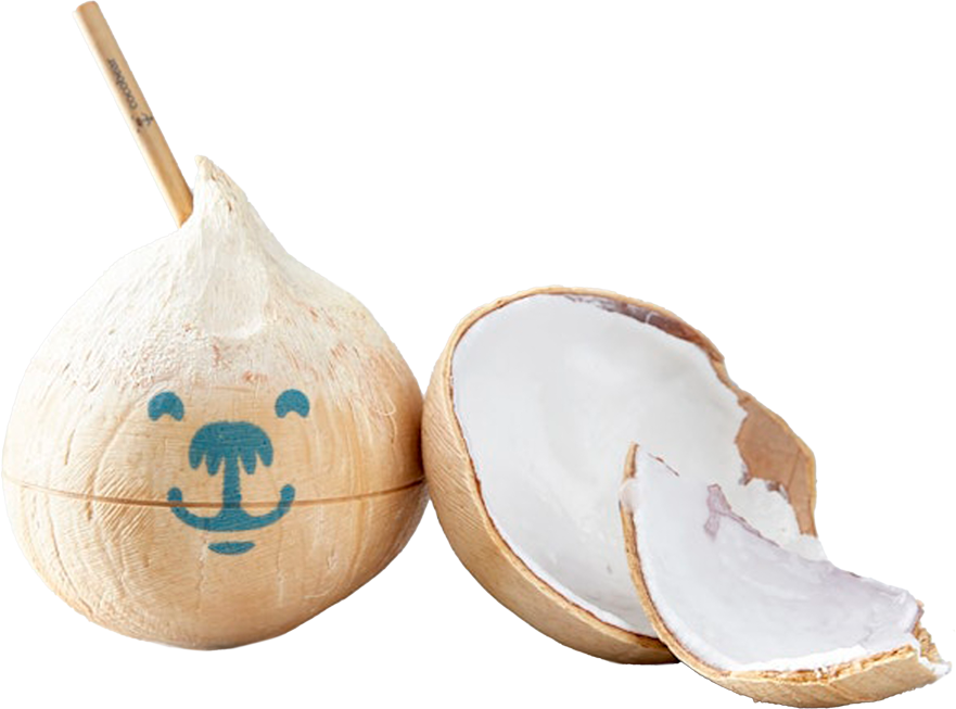 Young Coconut - Cocobear