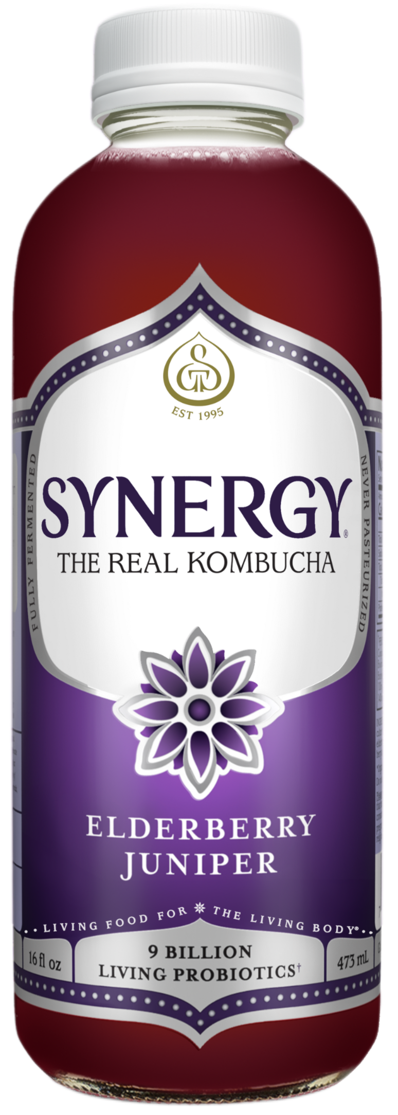 GT's Elderberry Juniper Kombucha - Erewhon